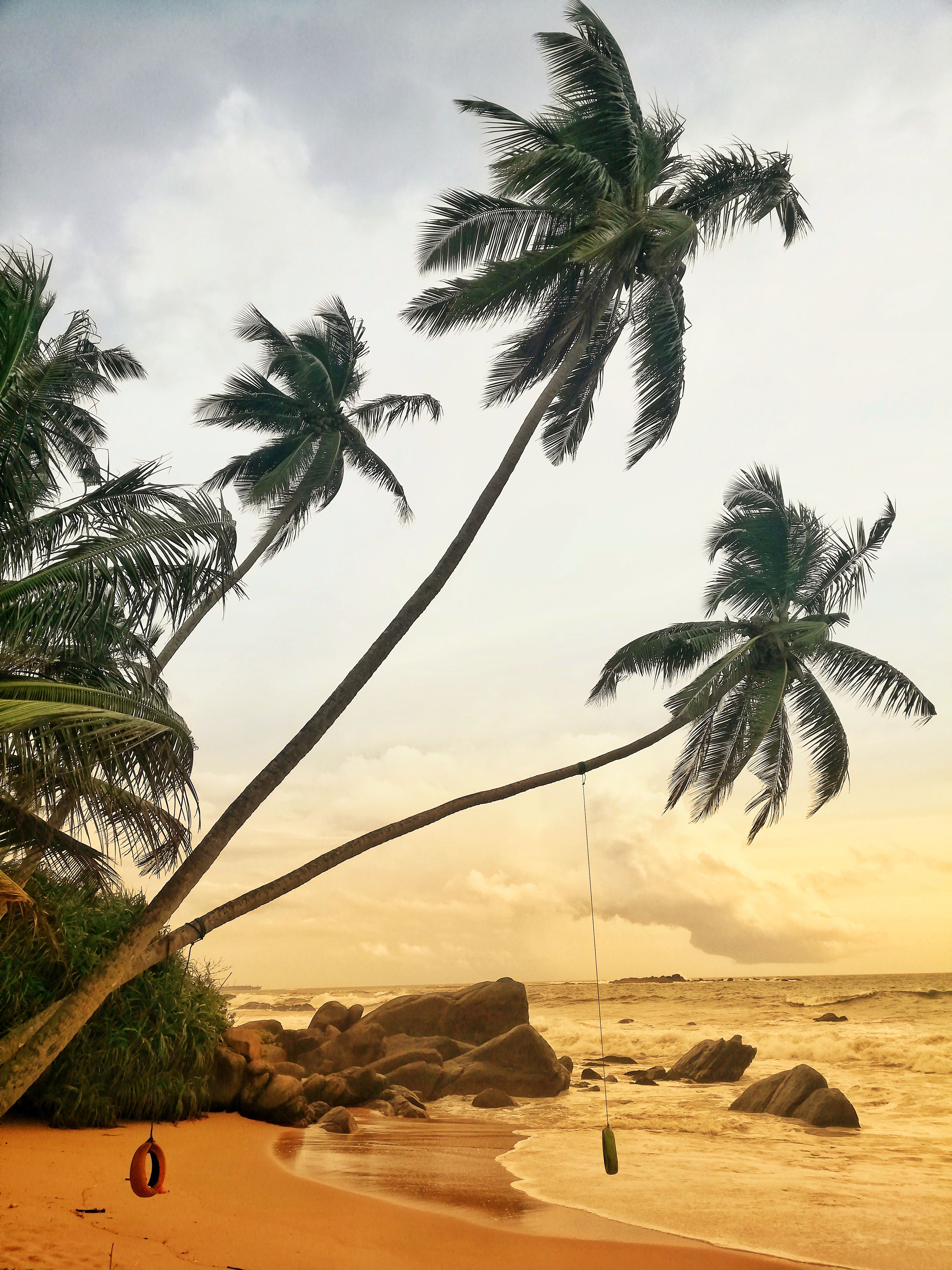 Sri Lanka coastline